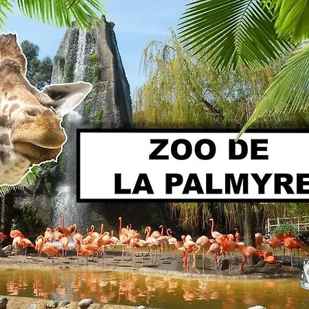 펜션 Du Midi De - Charmante Maison De Avec Piscine Chauffee