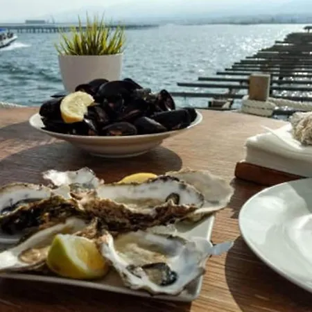 Du Midi De - Charmante Maison De Avec Piscine Chauffee Holiday home Saint-Porchaire