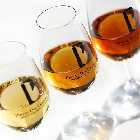 Holiday home Du Midi De - Charmante Maison De Avec Piscine Chauffee *