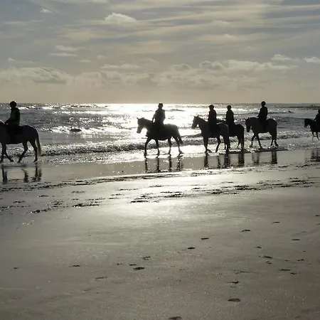 Du Midi De - Charmante Maison De Avec Piscine Chauffee 펜션 *